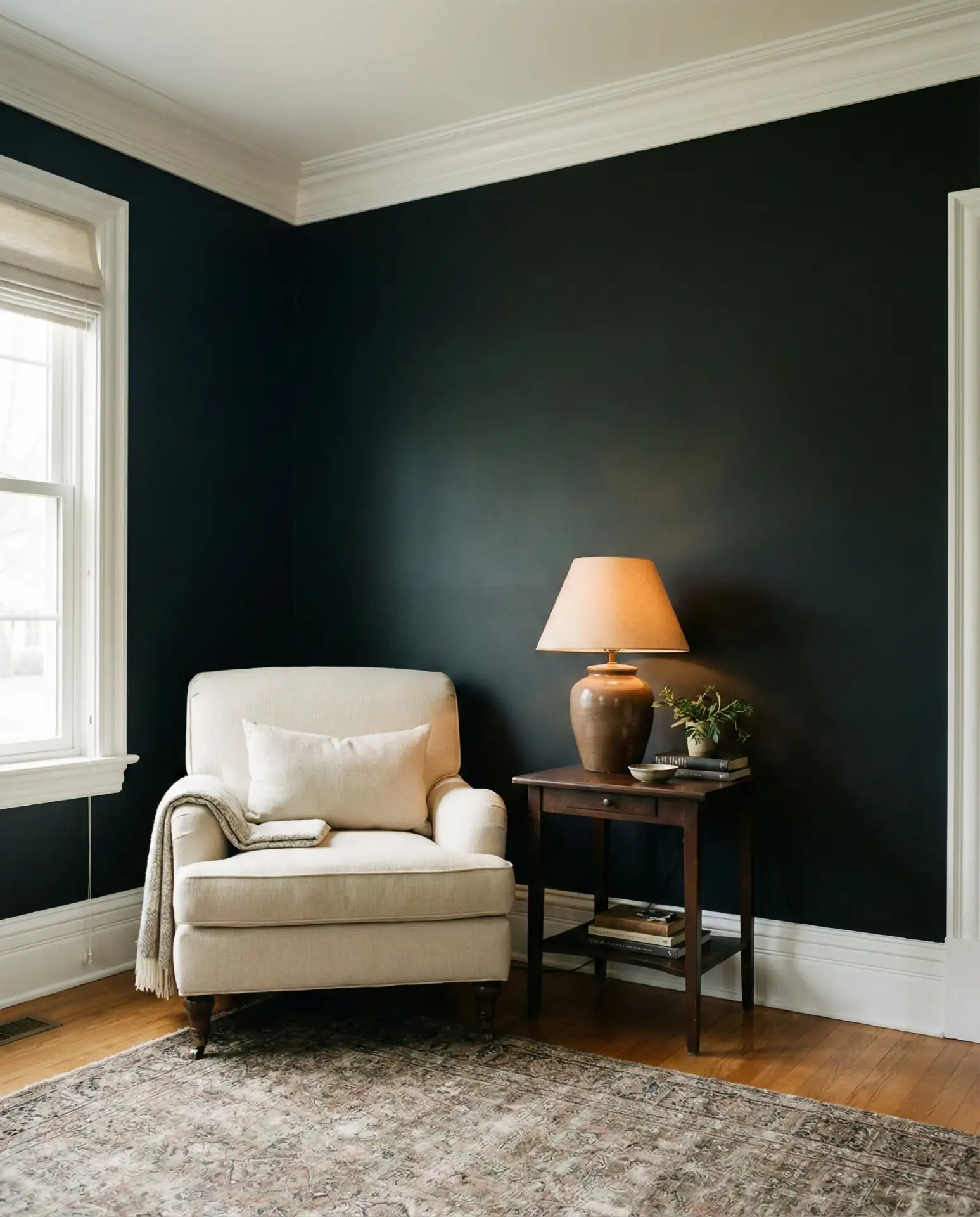 Tricorn Black Accent Wall with White Trim 2