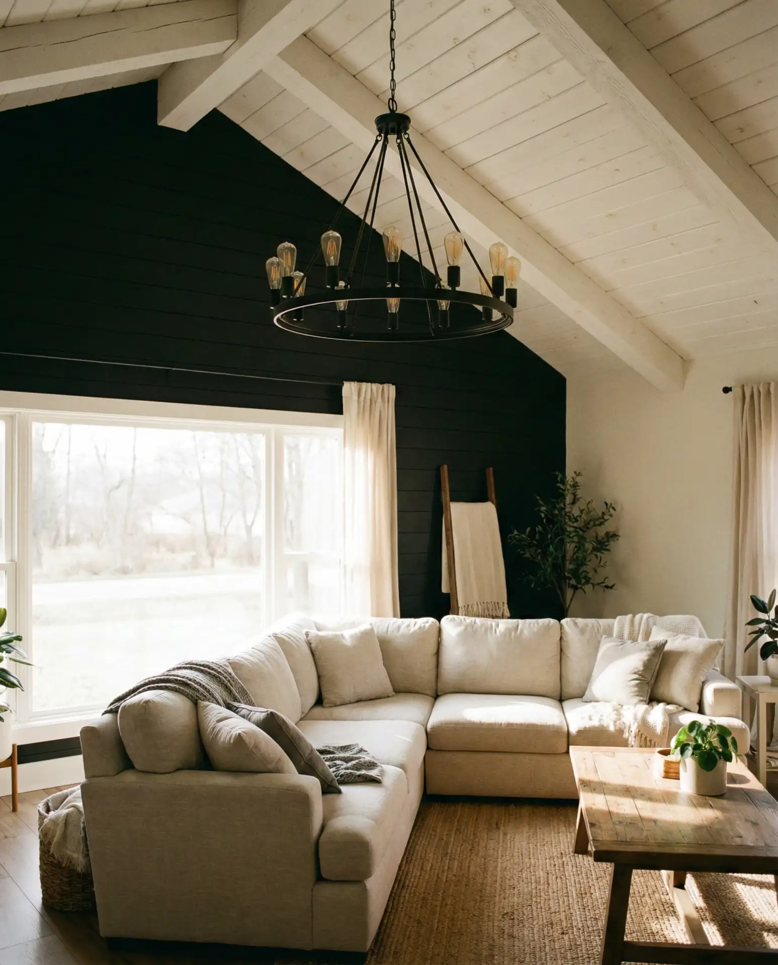 Vaulted Ceiling with Black Accent Wall 1