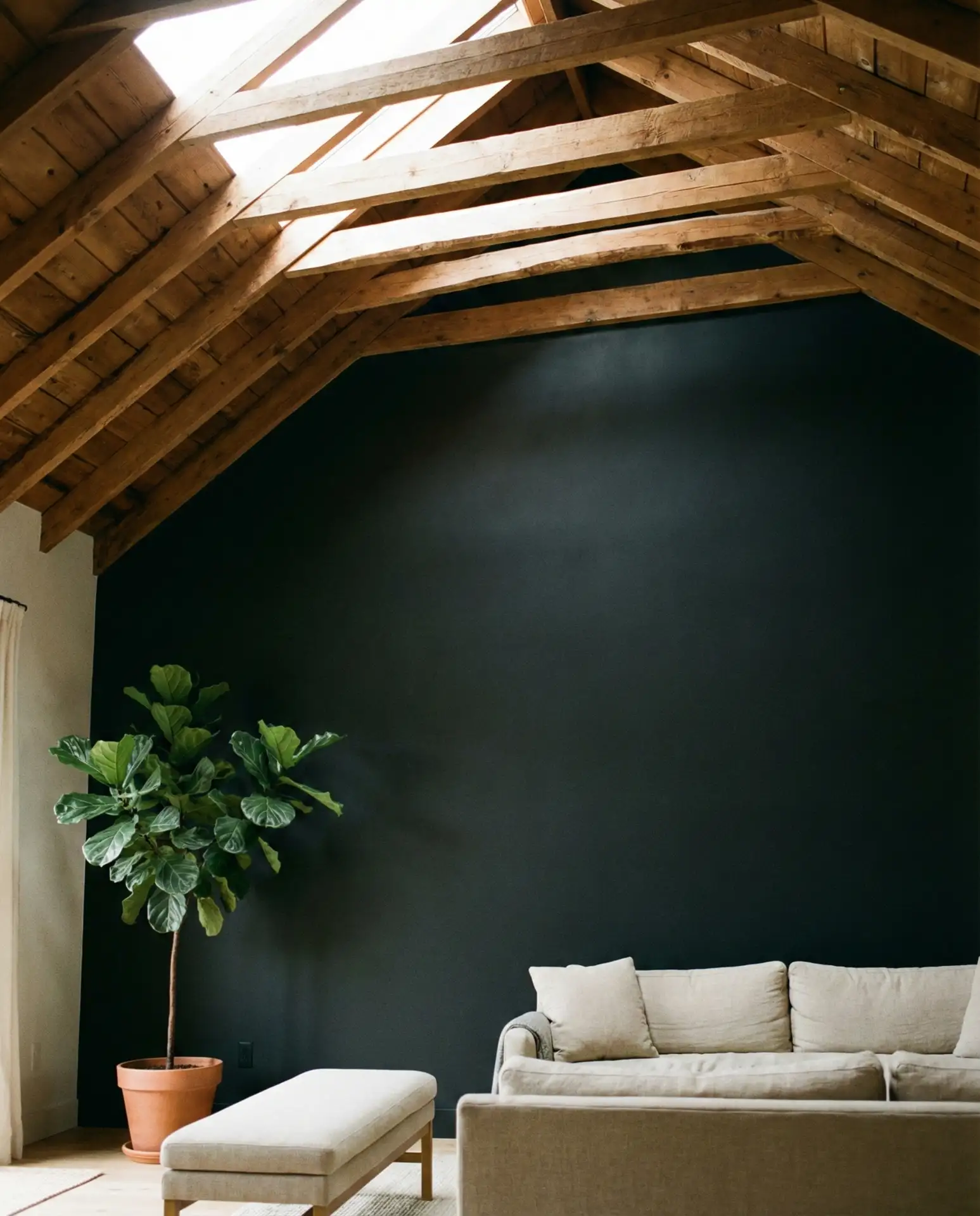 Vaulted Ceiling with Black Accent Wall 2