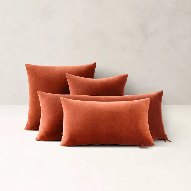 Banana Republic Timeless Velvet Pillow