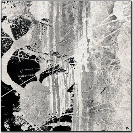 Black and White Abstract Art