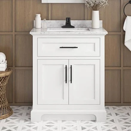 Doveton 30 in. Single Sink Bath Vanity