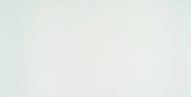 Echo White Quartz Slab