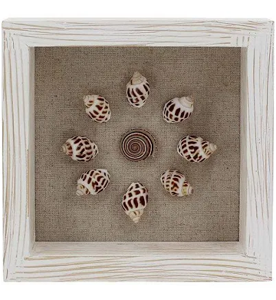 Everyday Decor Framed Seashell Tabletop Art, Multi