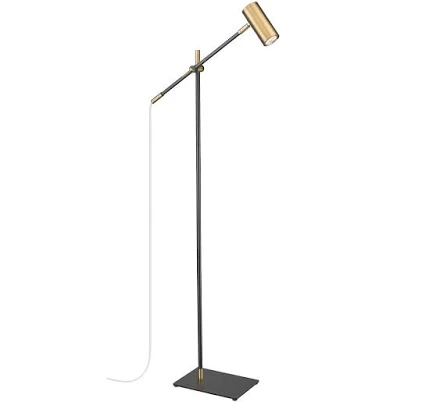 Latitude Run Adjustable Task Floor Lamp