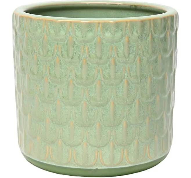 Michaels Ashland 5.5