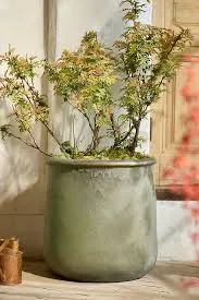 Roll Top Tall Ceramic Planter