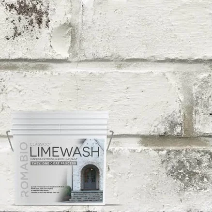 ROMABIO Limewash Interior/Exterior Paint