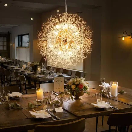 RRTYO Barton 16-Light Gold Crystal Unique Sphere Chandelier