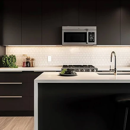 True Black Matte RTA Kitchen Cabinets by Wholesale Cabinets