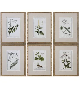 Uttermost Green Floral Botanical Study Prints