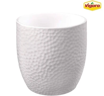 Vigoro Ellory Ceramic Pot