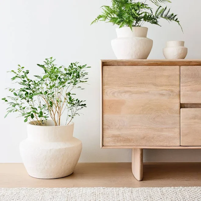 West Elm Form Ceramic Tabletop Planter