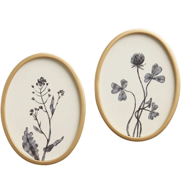 World Market Blue Oval Botanicals Framed Wall Art by Dan Hobday