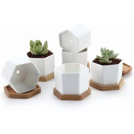 2.5 Inch Mini White Succulent Planter Pots with Bamboo Tray Round Set of 6, Tiny