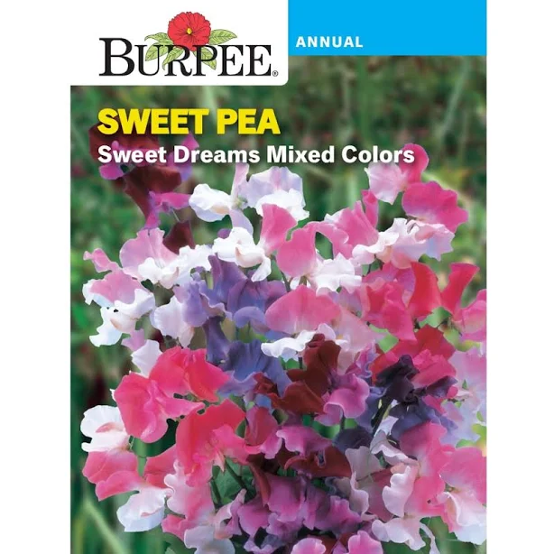Burpee Sweet Dreams Mixed Colors Sweet Pea Flower Seed