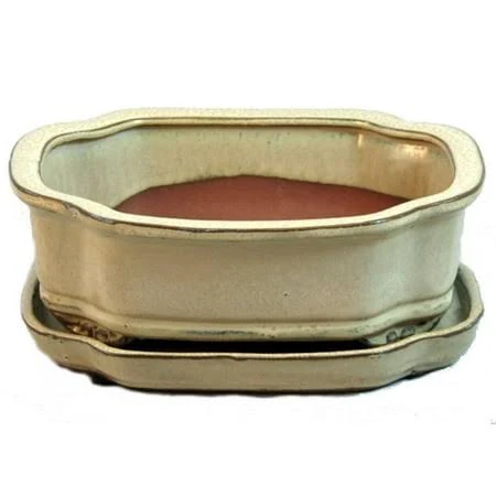 Ceramic Bonsai Pot with Saucer