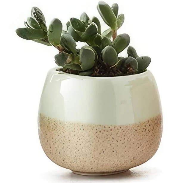 Ceramic Succulent Planter with Flowing Glaze