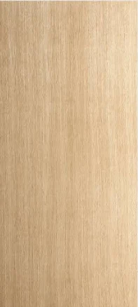ETO Doors Leon Exterior Flush Door