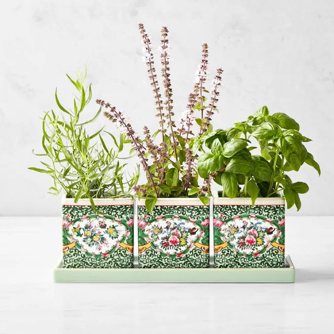 FAMILLE Rose Herb Planter with Tray (Set of 3)
