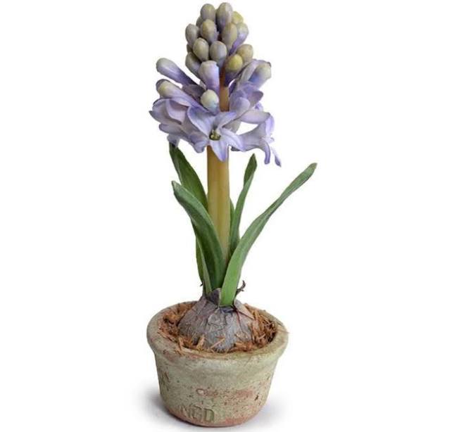 Forever Floral Mini Hyacinth Terracotta Pot