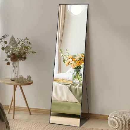 Gianna Full Length Rectangular Mirror