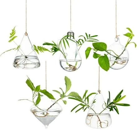 Hanging Glass Planter Plant Terrarium