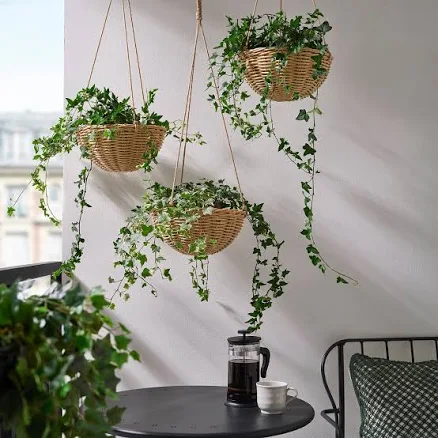 IKEA FLODBJÖRK Hanging Planter