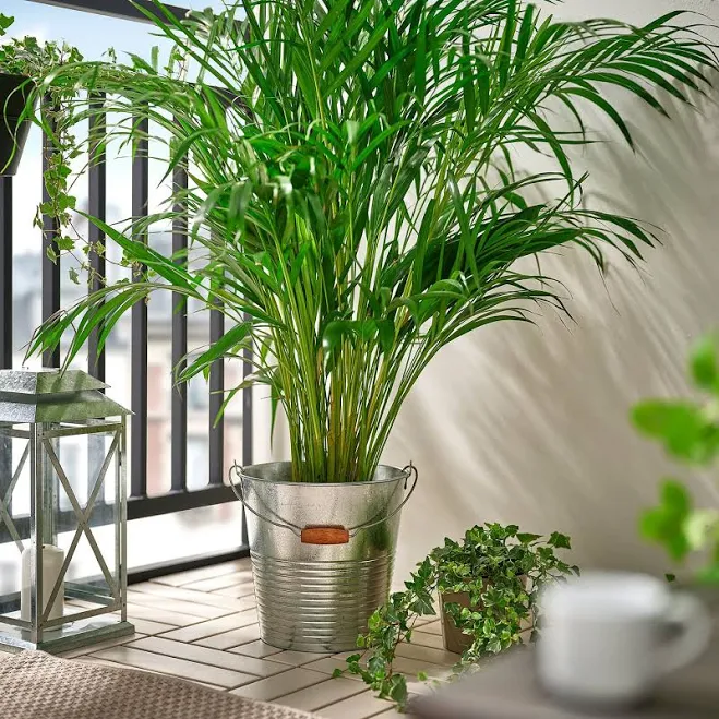 IKEA KORKGRAN bucket/plant pot