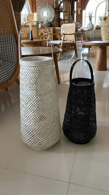 Lantern Bamboo SYD