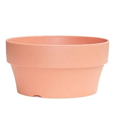 Large Terracotta Pots for Succulent