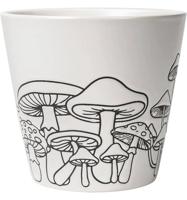 Mainstays Mushroom Plant