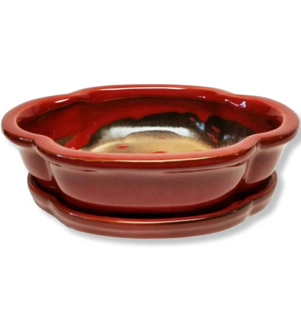 Miniature Bonsai Planter Clover with Saucer