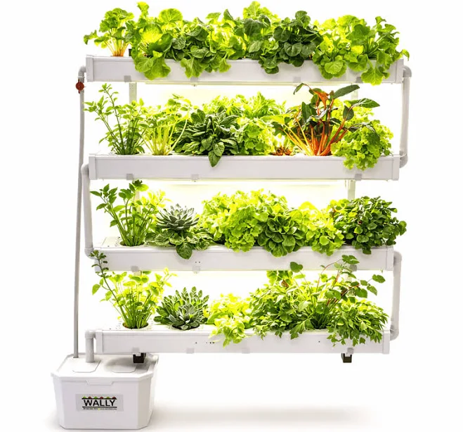 NatureTech Wally 32 Fixed Wall Hydroponic Gardening System