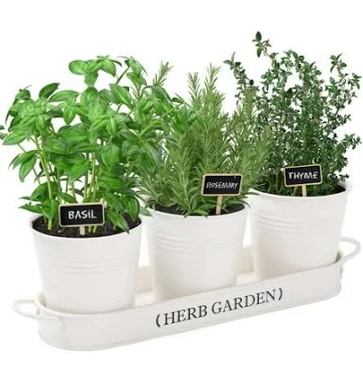 Perfnique Indoor Herb Garden Herb Garden Planter for Indoor/Outdoor Farmhouse Pl
