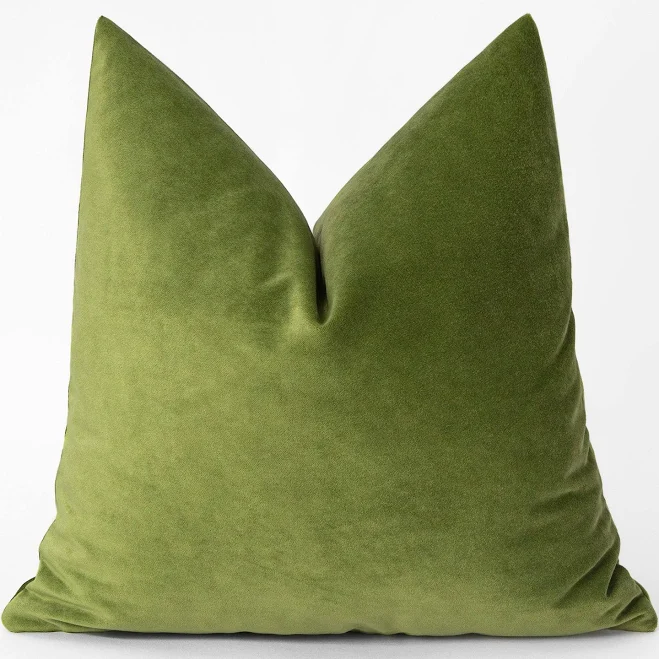 Pillowhan Light Green Velvet Pillow Cover
