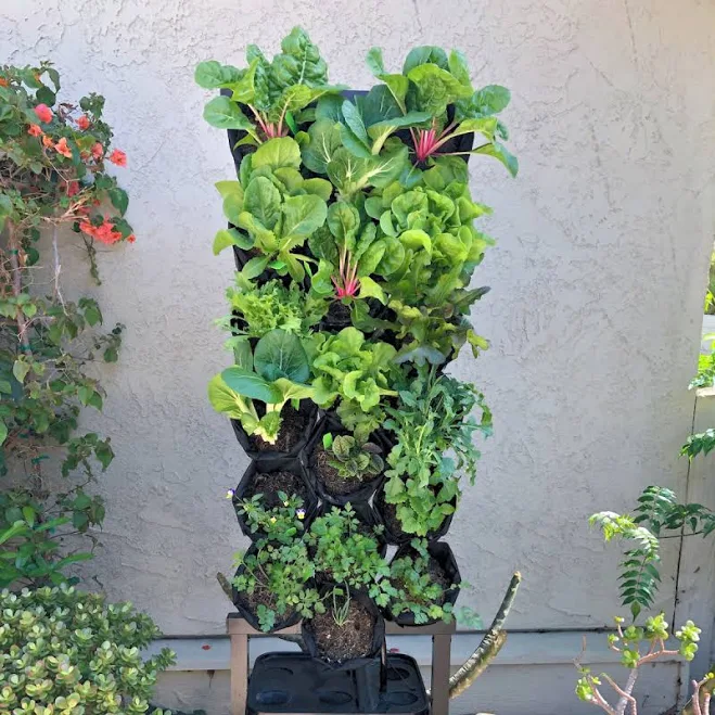Planted Wall Vertical Garden Structure with Recirculating Water System