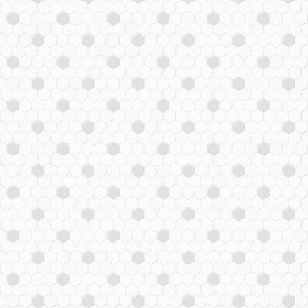 Satori Hudson Brilliant White and Gray 10-in x 12-in Matte Porcelain Hexagon Mos