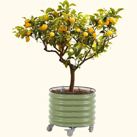 Team Grow Self-Watering Rolling Planter