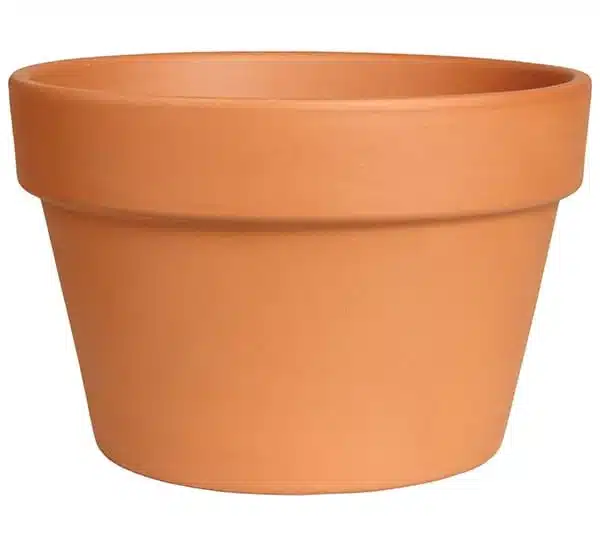 Terra Cotta Clay Pot