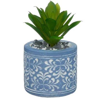 Terracotta Planter With Succulent Small Assorted