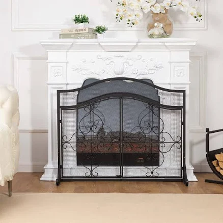 Vanity Art LLC 2-Panel Iron Fireplace Screen