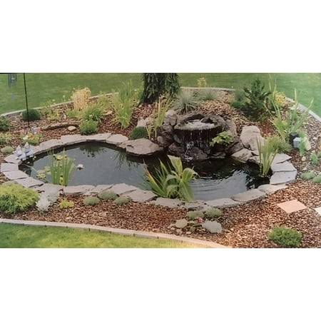 Water Garden Foutain Koi Pond Kit