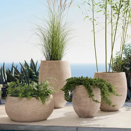 West Elm Curved Round Ficonstone Indoor/Outdoor Planter