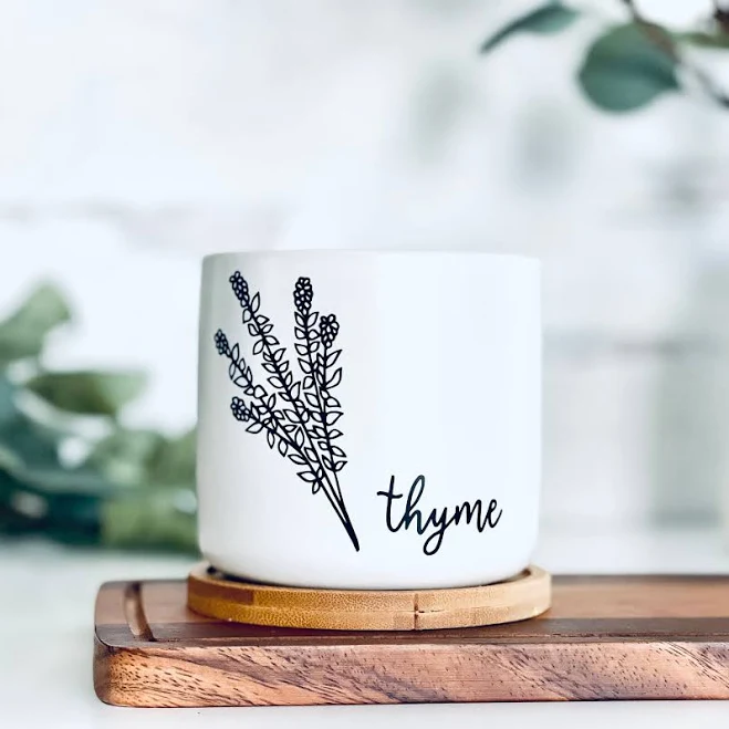 White Ceramic Herb Pot Indoor Garden Planter with Bamboo Tray Gardening Starter 