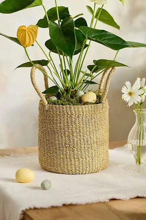 Woven Abaca Basket Pot, Yellow by Terrain at Anthropologie