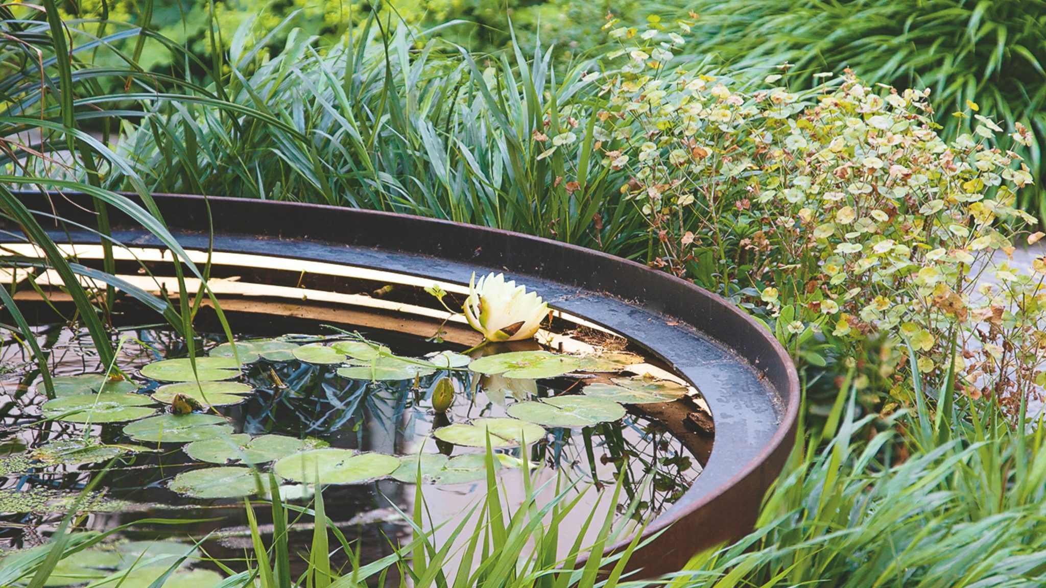 10 garden pond ideas for a tranquil, nature-friendly space | Ideal Home