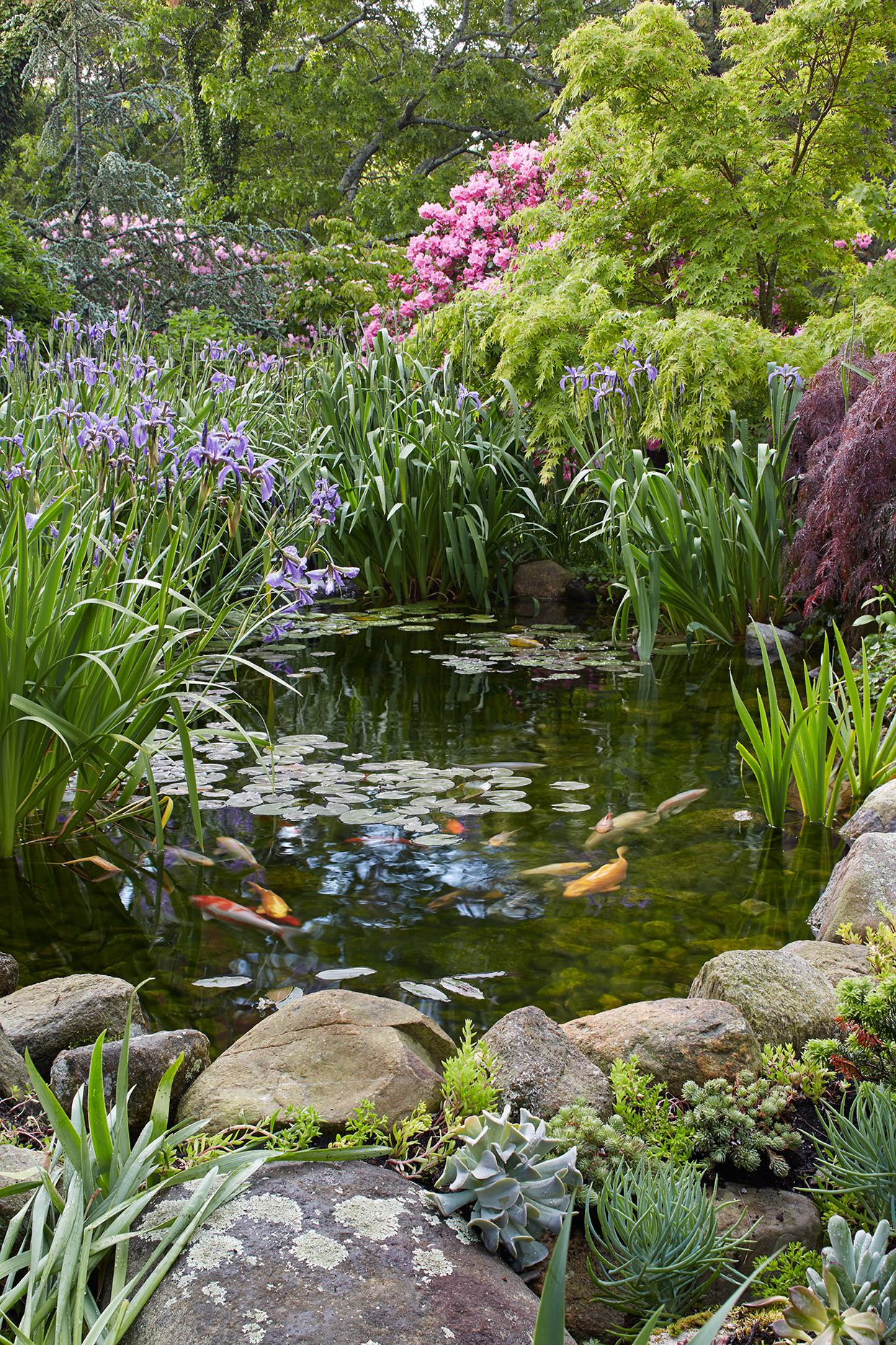11 Types of Water Features to Add a Refreshing Touch to Your Yard