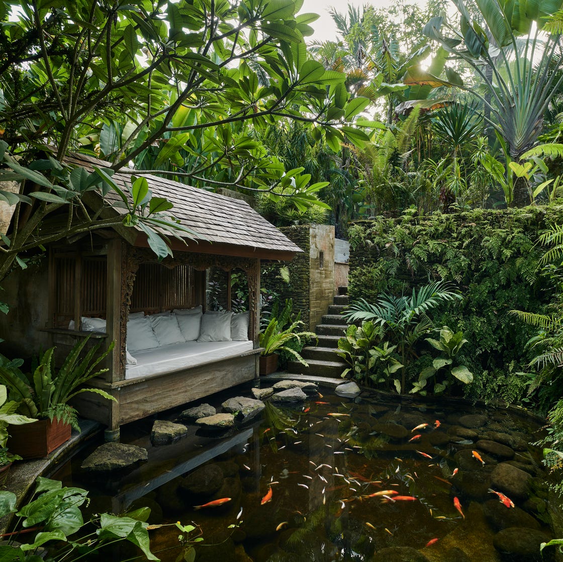 15 Koi Pond Ideas to Inspire a Serene Outdoor Space