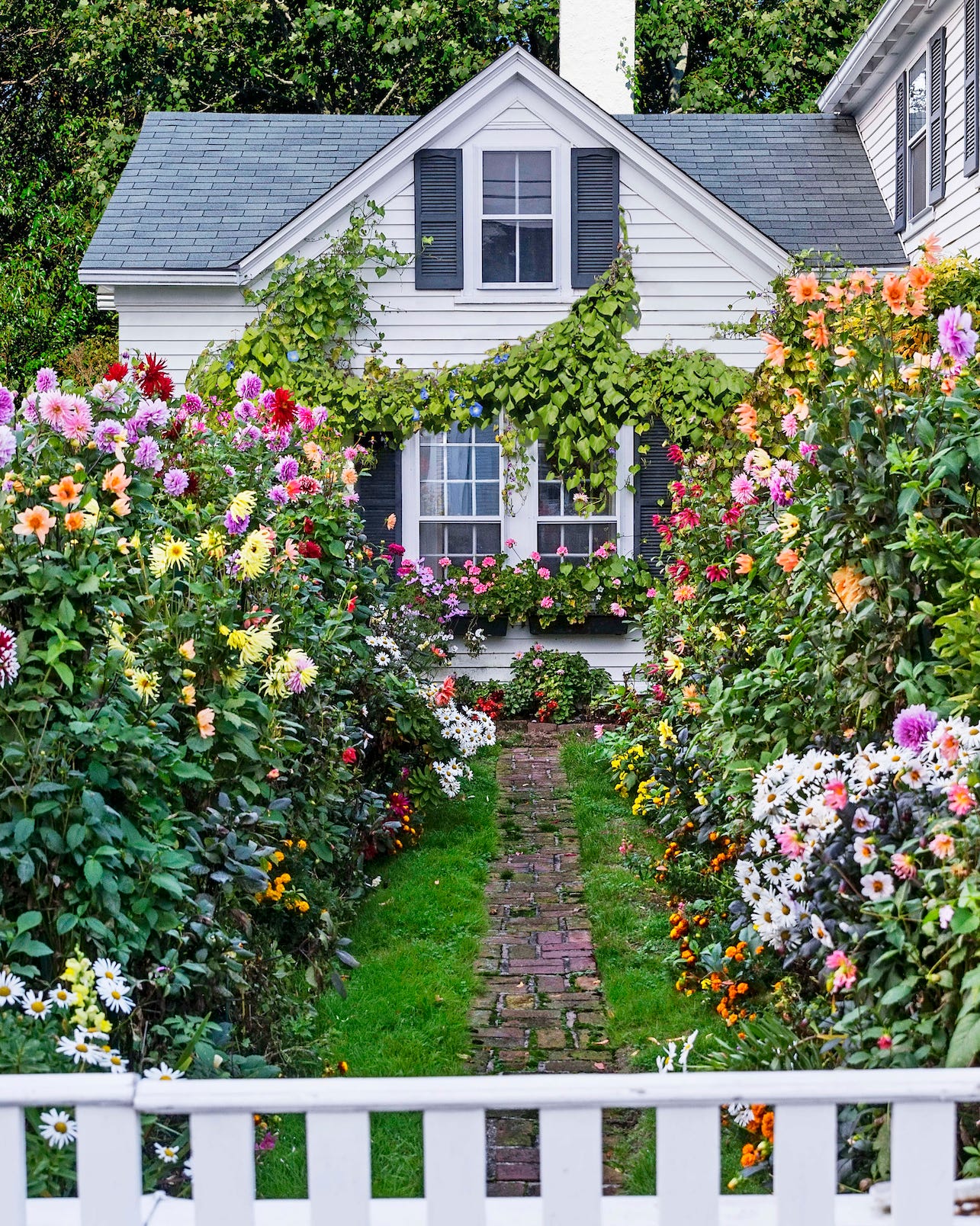 15 Pretty Cottage Garden Ideas to Try This Spring